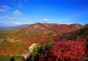 京郊顺义舞彩浅山开放，预计月底红叶进入最佳观赏期！