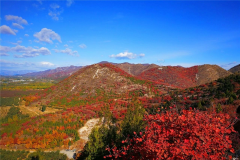 京郊顺义舞彩浅山开放，预计月底红叶进入最佳观赏期！