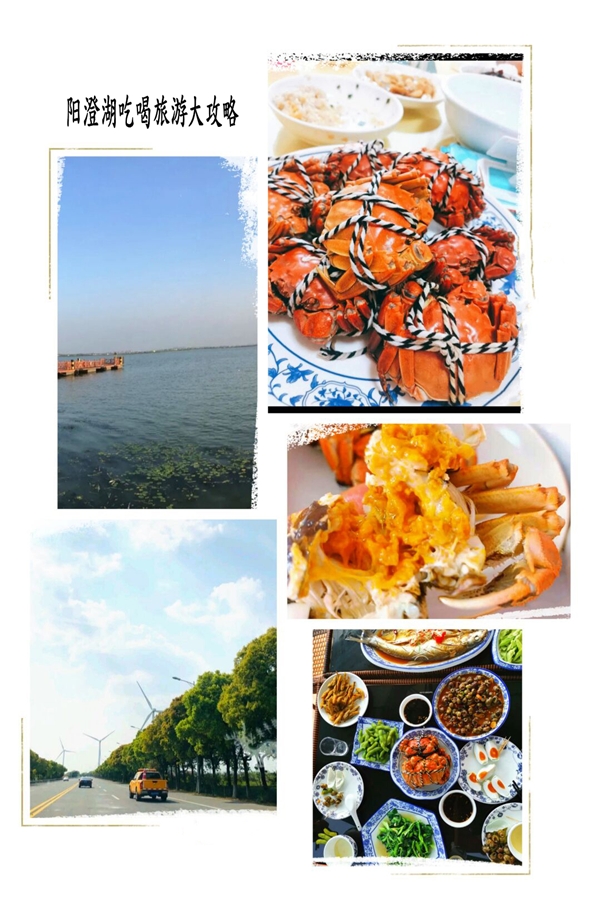 苏州阳澄湖吃大闸蟹的地方哪里好，吃货也能吃到满足！[墙根网]
