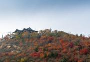 北京北宮國家森林公園紅葉紅了嗎？觀賞時間及攻略一覽