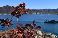 京郊红叶进入最佳观赏期，平谷金海湖红叶节开幕
