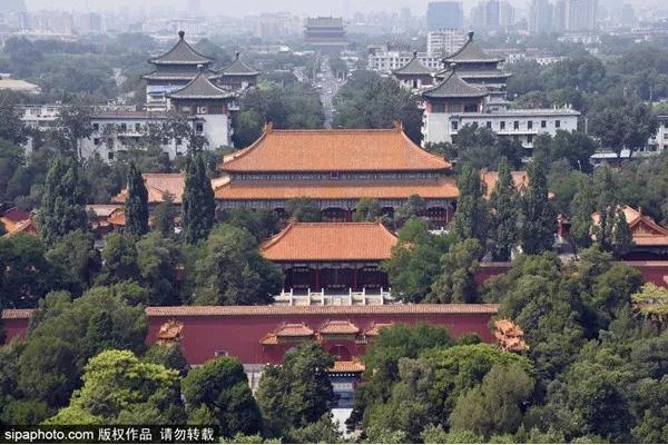 美爆了！解锁京城春天的密码，就在这些地方……[墙根网]