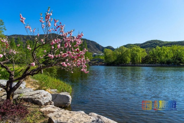 2021北京春游赏花指南[墙根网]