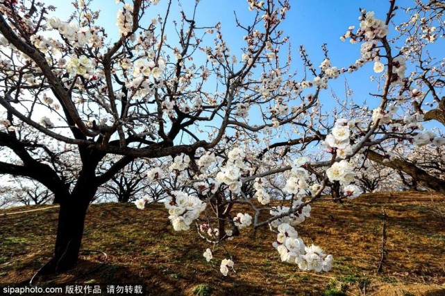 不用出京就能来到“小拉萨”？你的朋友圈又亮了！[墙根网]