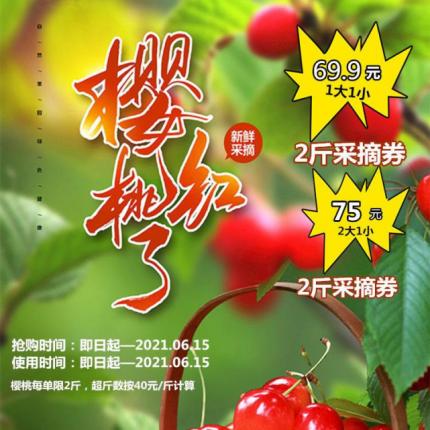 【昌平 | 樱桃采摘】69.9元【水荣樱桃采摘园】1大1小可采摘2斤樱桃
