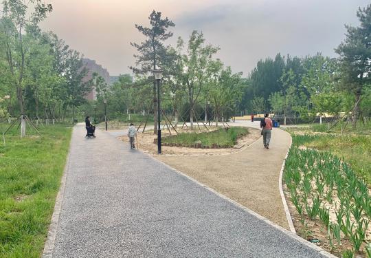 京密引水渠旁又多一道风景林带！北京海淀这处郊野大公园免费开放