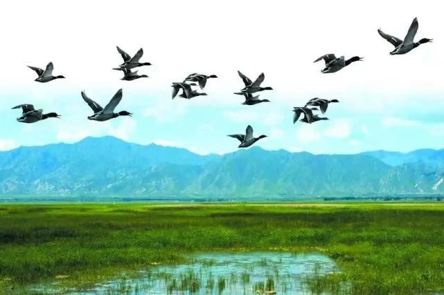 市文旅局推出19条“漫步北京”亲河湖享自然主题游线路[墙根网]