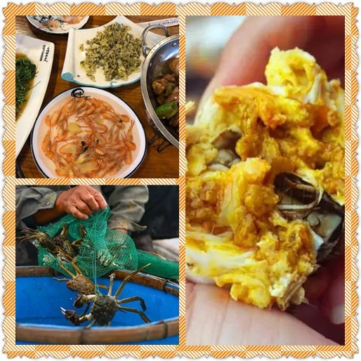 苏州阳澄湖旅行攻略丨找到阳澄湖吃大闸蟹的最好的地方