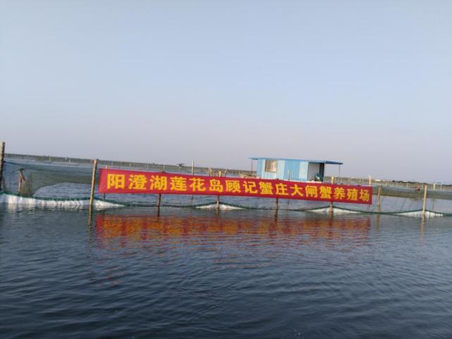 阳澄湖吃蟹时，阳澄湖吃大闸蟹哪里好[墙根网]