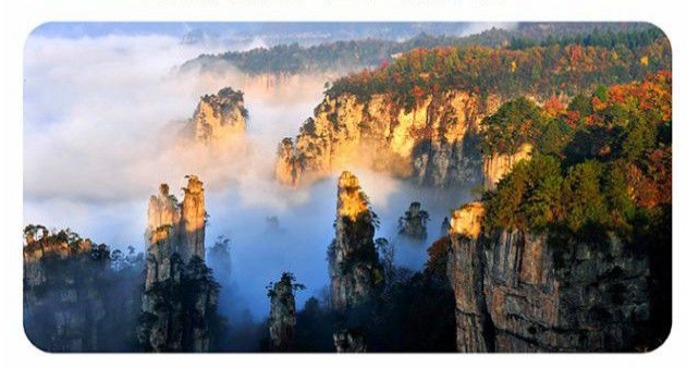长沙旅游年卡 长沙旅游年卡