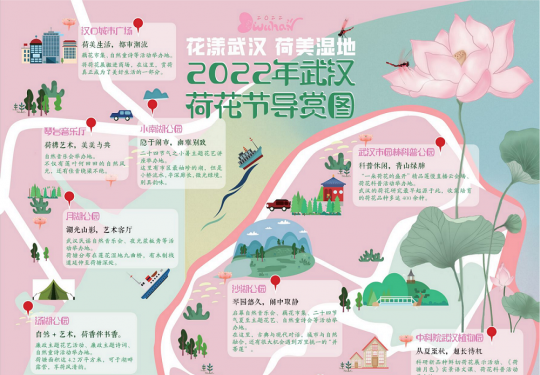 2022年武汉荷花节6月10日启幕（附时间+地点+活动安排）