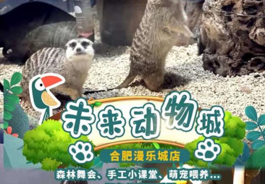 合肥未来动物城好玩吗（景区介绍+游玩攻略+门票价格）