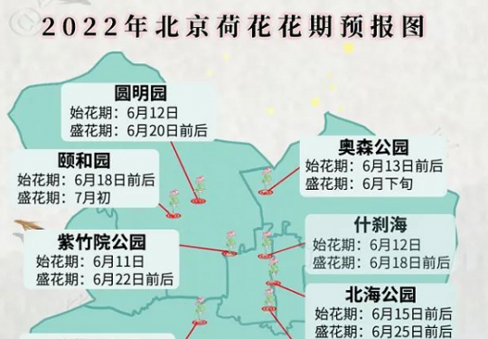 2022年北京地區荷花觀賞指南公布