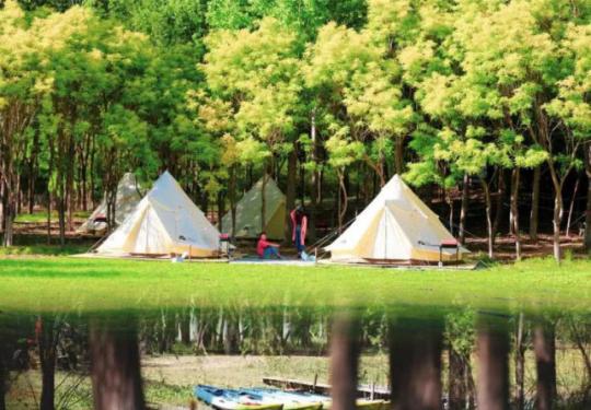 天津嚒嚒兽梦幻森林门票价格、地址、游玩项目