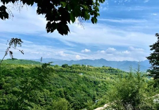 中国周城景区在什么地方？（地址+开放时间+购票入口）