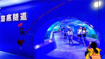 重庆欢乐海底世界20