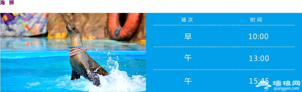 2022天津海昌极地海洋公园门票多少钱(游玩攻略+预约+表演时间)[墙根网]