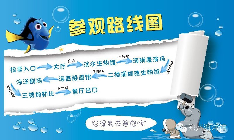 2022郑州海洋馆游玩攻略(交通+演出安排+游玩线路推荐)