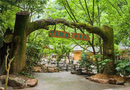 2022千岛湖森林氧吧(门票预约+景点介绍+旅游攻略+导览地图)