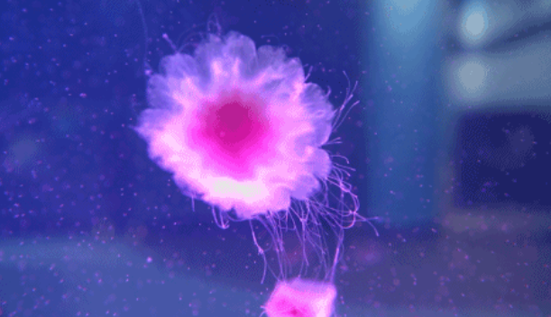 /uploads/image/2021/11/26/dfbd660bbfeea6cf73597b7f8c3f88f7.png 图片.png