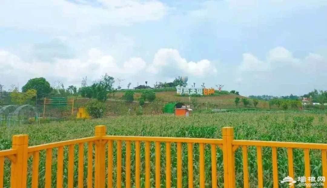 图片 图片