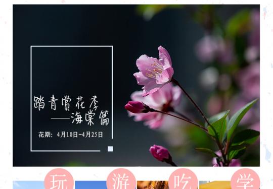 2023北京生态谷智慧农场门票价格及优惠政策（附花期时间表）
