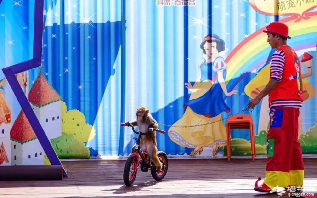 http://r.sinaimg.cn/large/article/156d807075e96a43f565537925d27eca