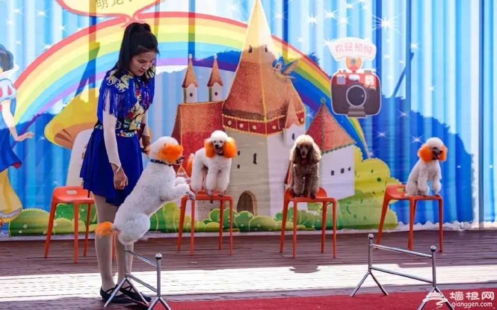 http://r.sinaimg.cn/large/article/4b52990da60ce078c6b1e6eb0fe06404
