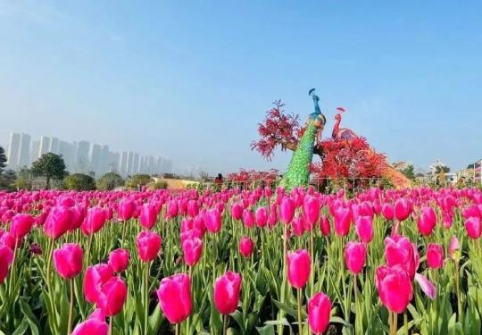 2024音乐百花谷门票多少钱？(开放时间+地址+游玩攻略)