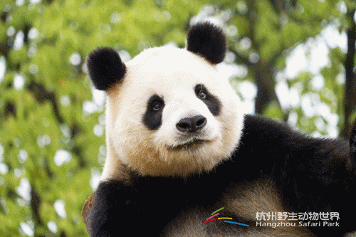 微信图片_20220405105446.gif 微信图片_20220405105446.gif