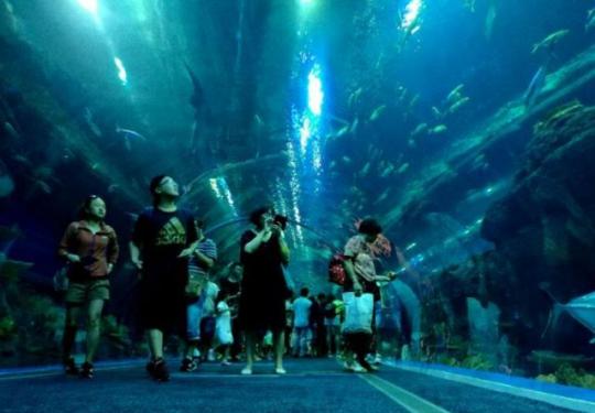 浩海立方海洋馆门票多少？浩海立方海洋馆游玩攻略