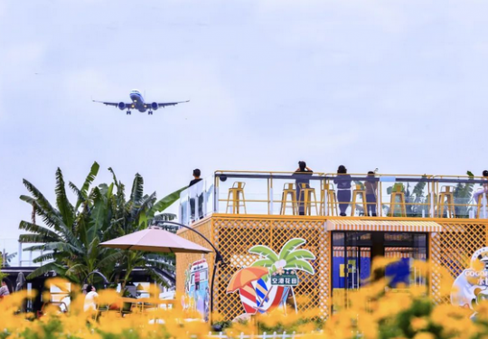 2022-2023成都空港花田音乐节阵容公布及演出时间表