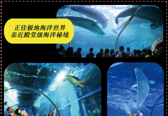 2024正佳极地海洋世界攻略(开园时间+日场+夜场+表演时间)