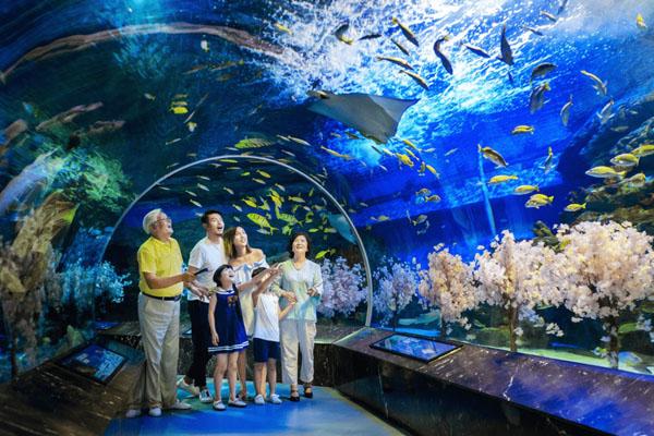 2023成都海昌海洋公园花灯节活动时间及门票价格 2023成都海昌海洋公园花灯节活动时间及门票价格