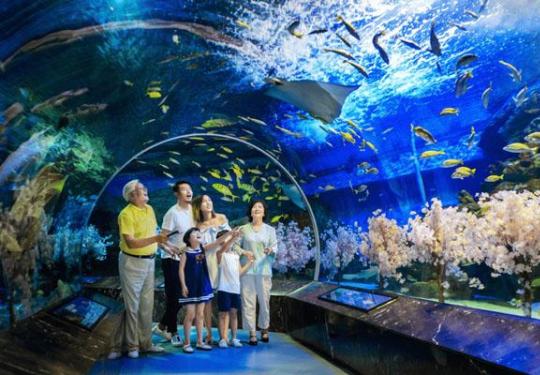 2023成都海昌海洋公园花灯节活动时间、门票价格