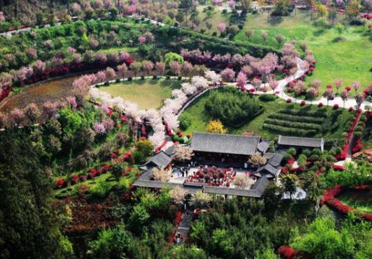 2024成都花舞人间门票价格+开放时间+优惠政策