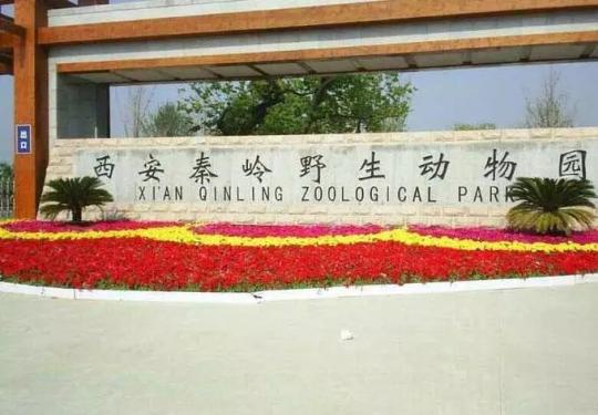 西安秦岭野生动物园游玩攻略(门票价格+营业时间+游玩项目)一览