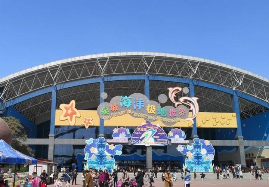2024泉城海洋极地世界(门票价格+优惠购票+表演时间+游玩攻略)