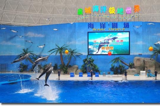 2024泉城海洋极地世界门票价格及游玩攻略(附表演时间表)