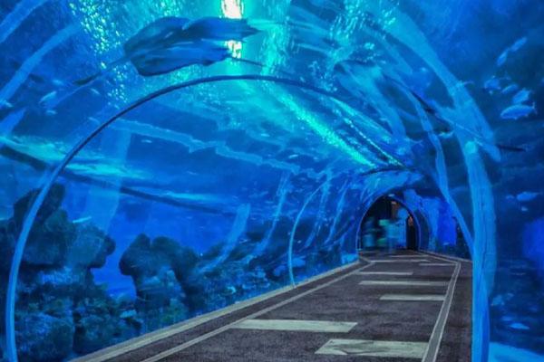 2023浩海立方海洋馆门票价格及优惠政策 2023浩海立方海洋馆门票价格及优惠政策