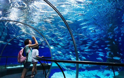 2023上海海洋水族馆门票多少钱？（附最新优惠政策）