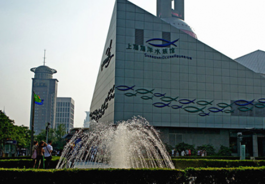2023上海海洋水族馆门票预订、优惠政策、游玩攻略