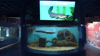 /uploads/image/2022/12/10/df2e9cfbaa096a1afd6a98c9b38d475e.gif /uploads/image/2022/12/10/df2e9cfbaa096a1afd6a98c9b38d475e.gif