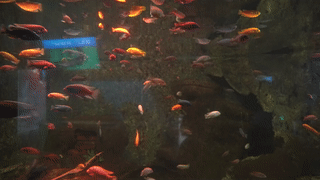 /uploads/image/2022/12/10/3030e034a0b1a9fd43388df89f44b8c3.gif /uploads/image/2022/12/10/3030e034a0b1a9fd43388df89f44b8c3.gif