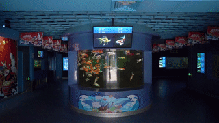 /uploads/image/2022/12/10/a86c49a13615828ad44459ab61237eb2.gif /uploads/image/2022/12/10/a86c49a13615828ad44459ab61237eb2.gif