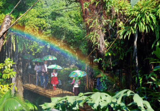 深圳青青世界门票价格及优惠政策（附游玩项目）