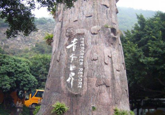 2024深圳青青世界门票价格表（免票政策+优惠政策）