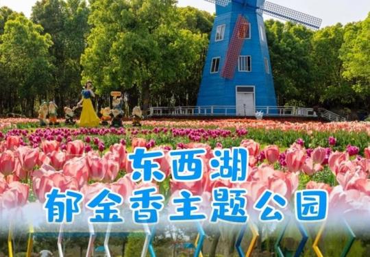 【东西湖郁金香主题公园】￥19.9含大门票+游玩项目9选1，魔法森林乐园、恐龙探宝部落、极酷赛艇、超级蹦床等可选，邂逅一场童心之旅吧！