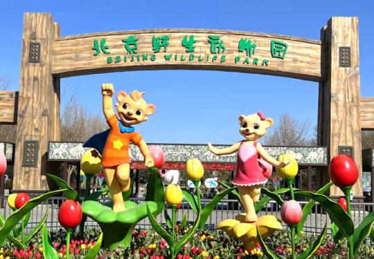 2024北京野生动物园门票多少钱?(开放时间+地址+游玩攻略)