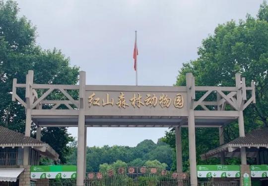红山森林动物园门票网上哪里买便宜？